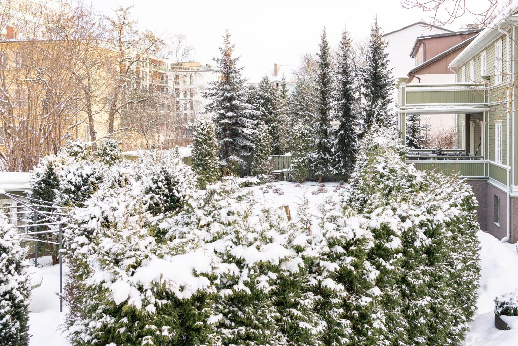 Videviku Villa Apartments Tallinn Eksteriør bilde